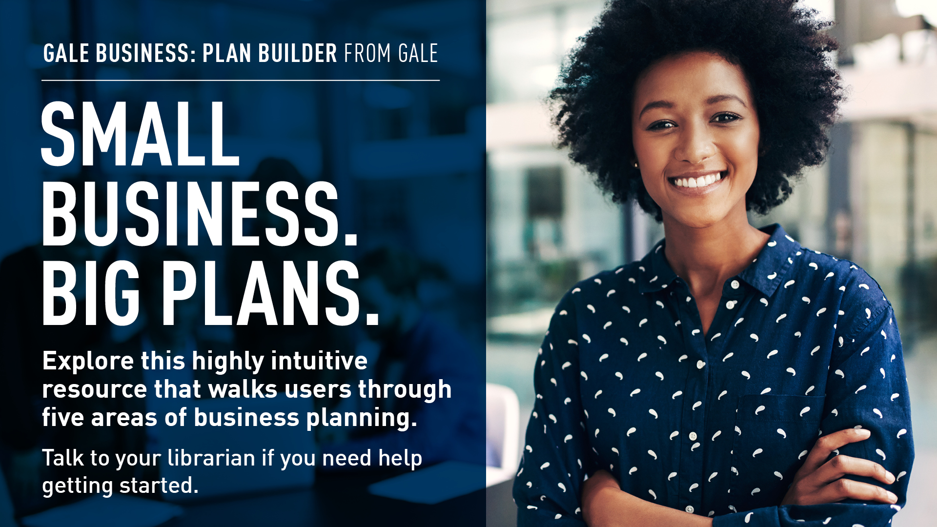 gale business plan builder